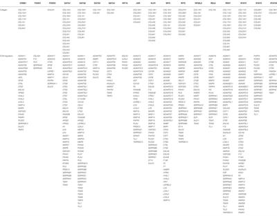 Frontiers | Longevity-Promoting Pathways and Transcription Factors 